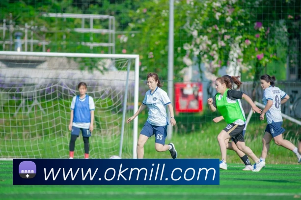 多媒体互动体验